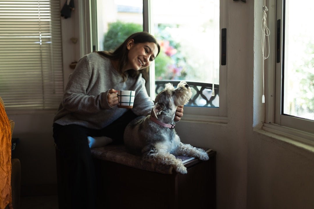 Natürliche Hilfe für gestresste Hunde | Angst & Stress lindern - Paw & Soul